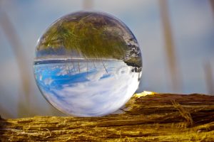 verkehrte-welt-h-mucc88ller