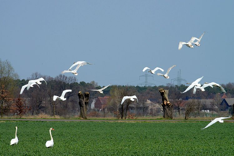 versammlungsende-k-lange