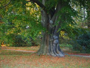 verwachsen-bernd-opel