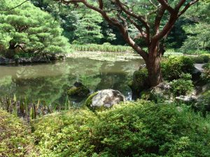 vollendete-gartenkunst-in-japan-k-lange