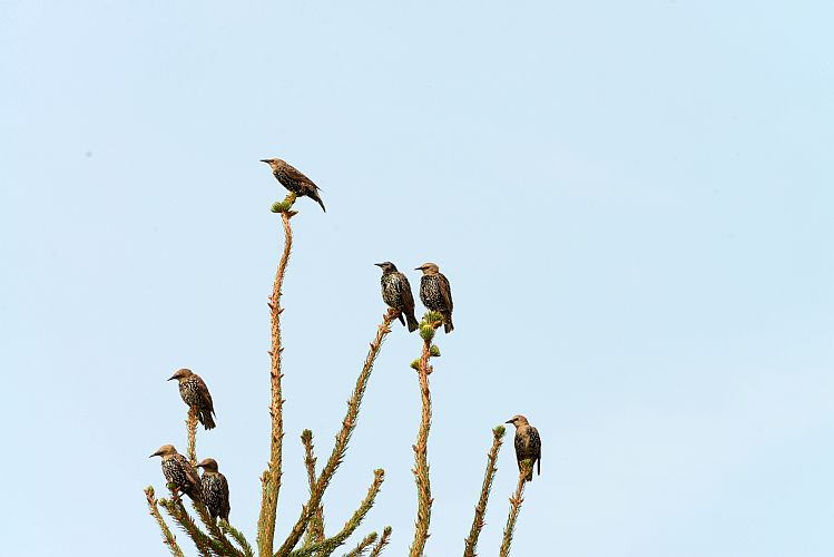 vor-der-abreise-k-lange