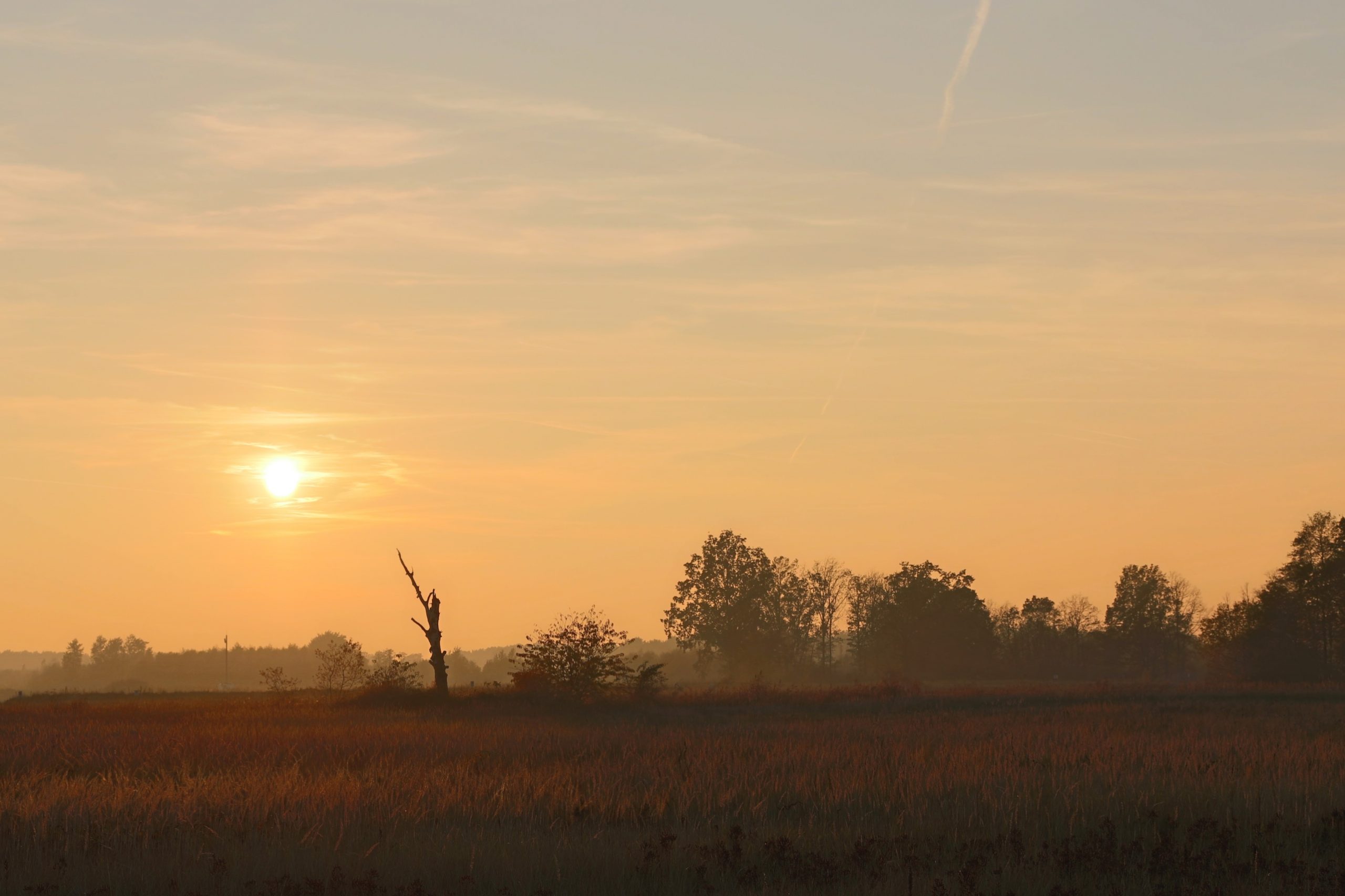 vor-sonnenuntergang-k-f-muehler