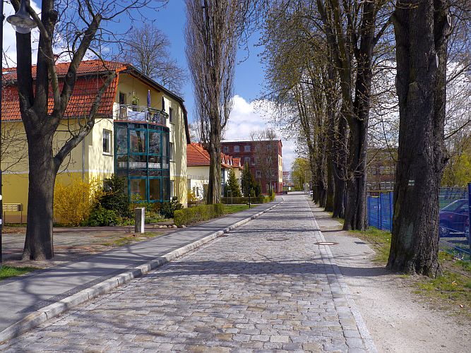 vorfruehling-in-der-peitzer-schulstrasse-von-h-mueller