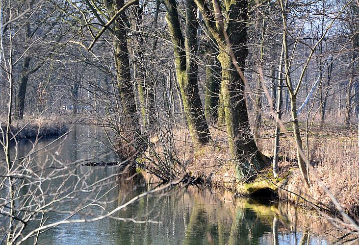 vorspreewald-p-fritsch