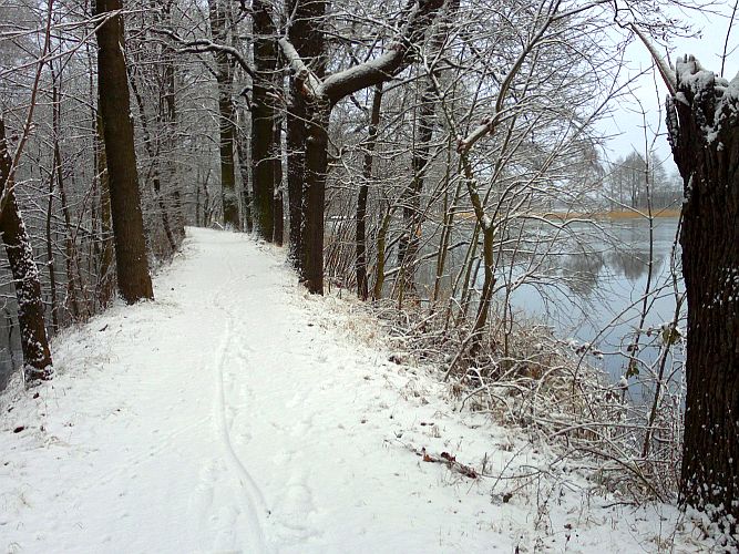 weg-am-hammergraben-richtung-maustmuehle-p-fritsch