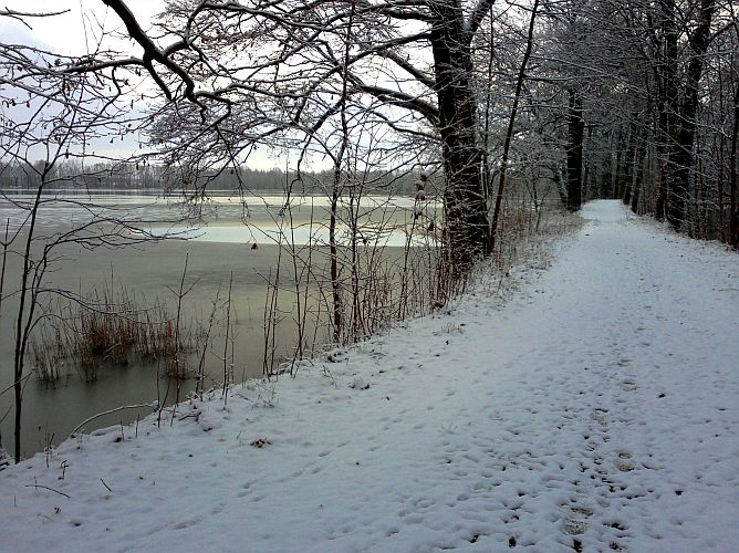 weg-am-hammergraben-richtung-neuendorf-p-fritsch