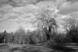 winter-in-branitz-10-h-mucc88ller