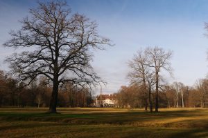 winter-in-branitz-4-h-mucc88ller