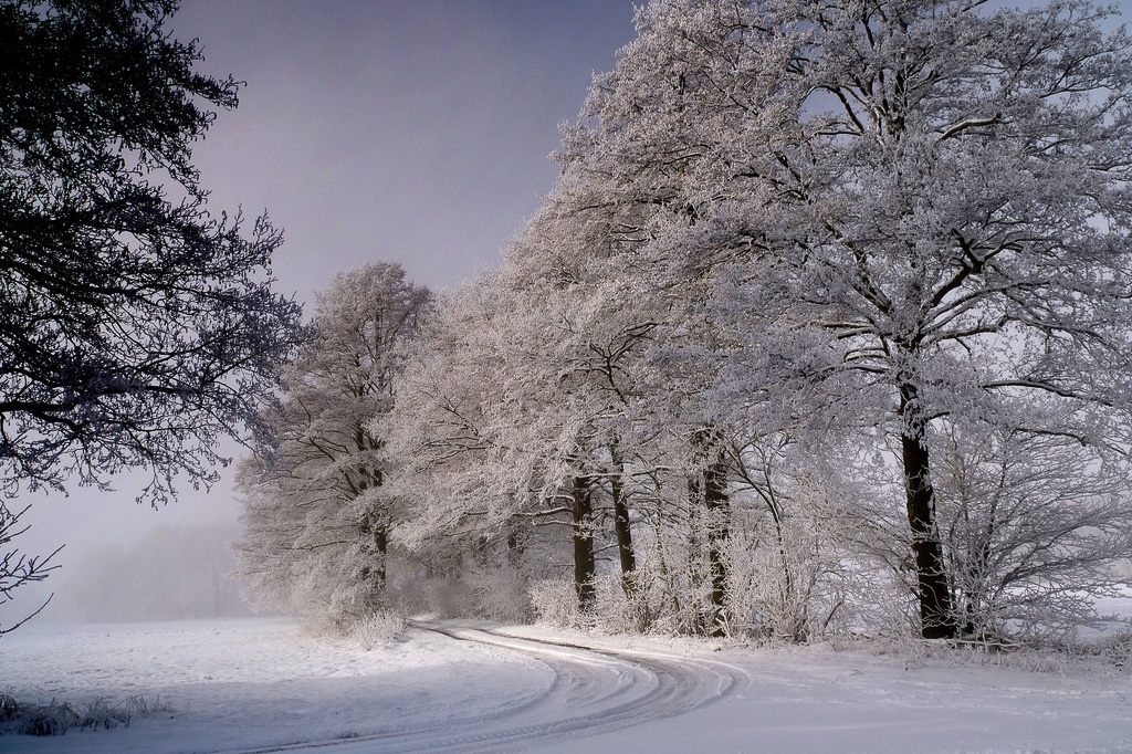 winter-in-den-peitzer-lasszinswiesen10-h-mucc88ller