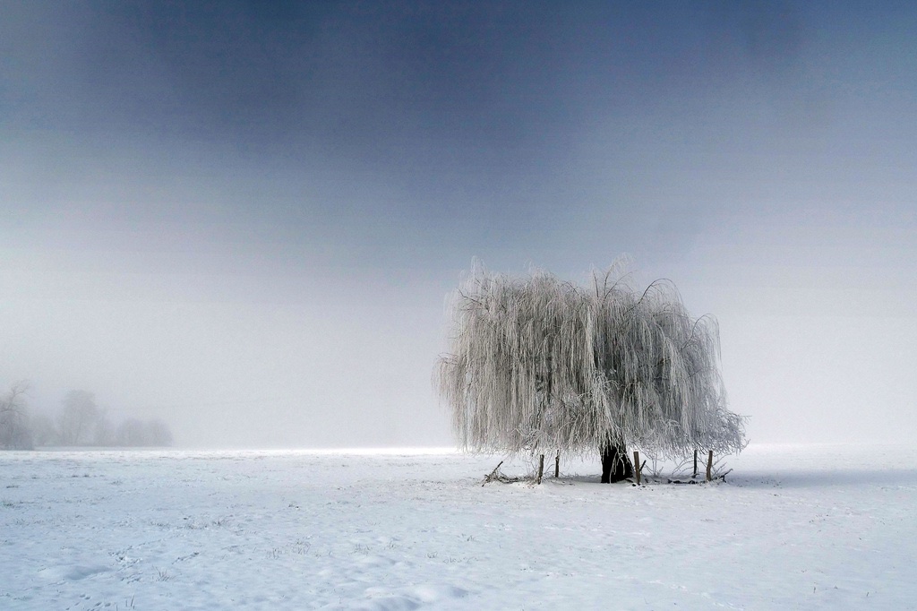 winter-in-den-peitzer-lasszinswiesen11-h-mucc88ller