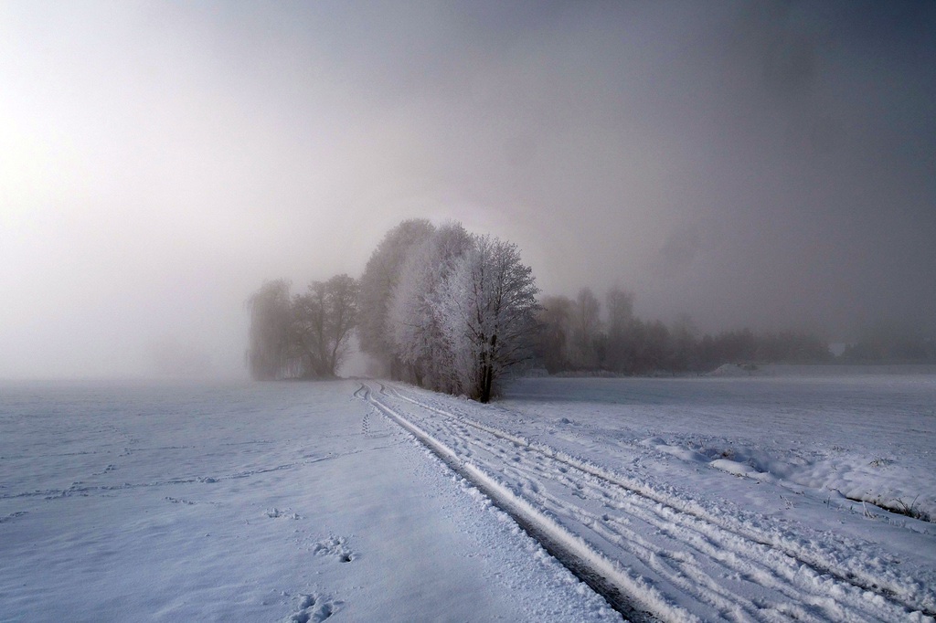 winter-in-den-peitzer-lasszinswiesen14-h-mucc88ller