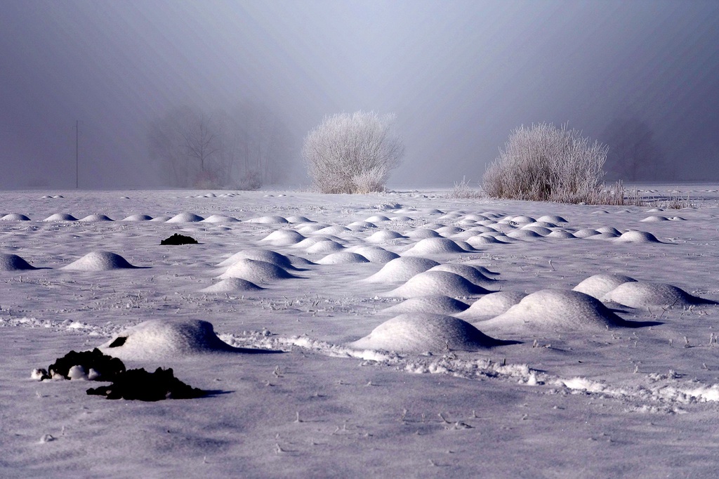 winter-in-den-peitzer-lasszinswiesen18-h-mucc88ller