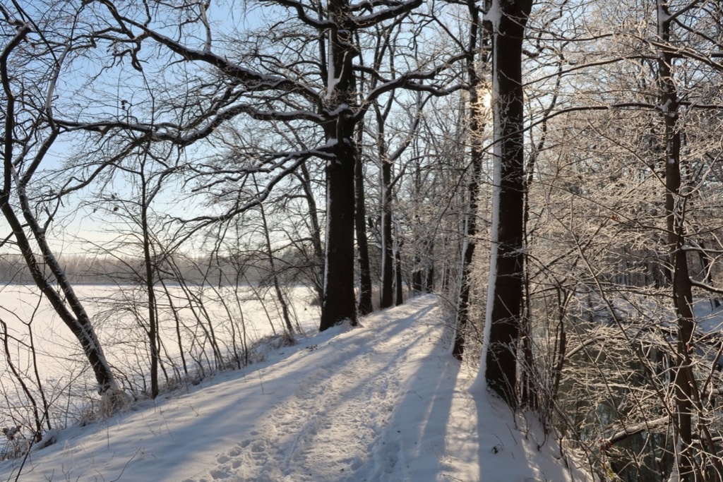 winter-in-teichland-4-k-f-muehler