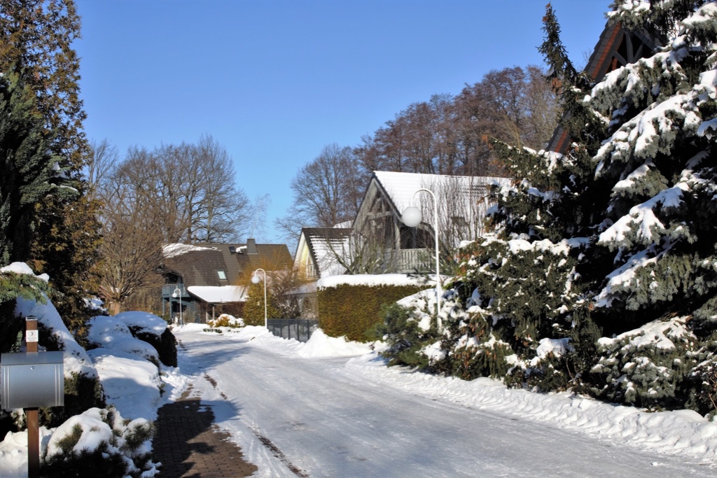 winter-in-teichland-5-k-f-muehler