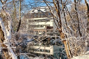 winter-in-teichland-k-f-muehler