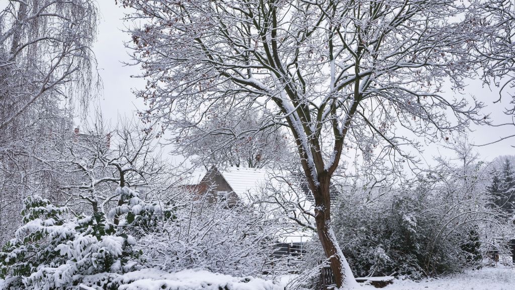 wintereinbruch-i-n-kubicke