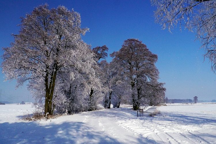 wintereinbruch-im-april-auf-den-lasszinswiesen-h-mueller