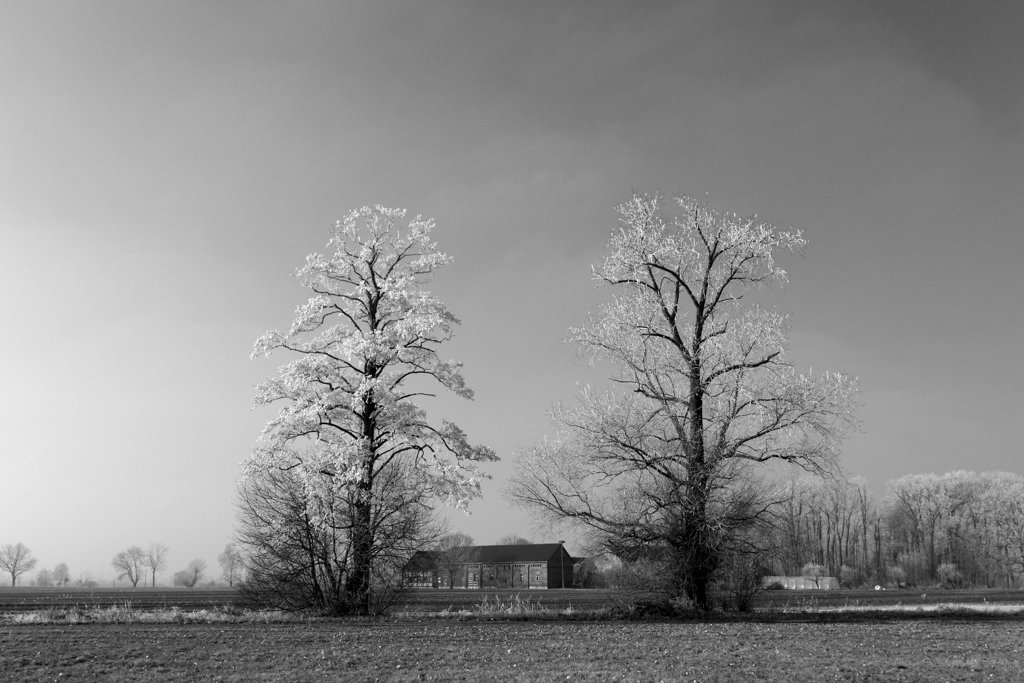 winterlandschaft-h-mucc88ller