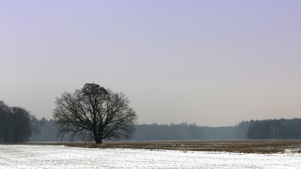 winterliche-mauster-flur-1-k-f-muehler