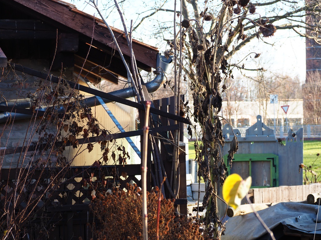 winterlicher-garten-2-bernd-opel