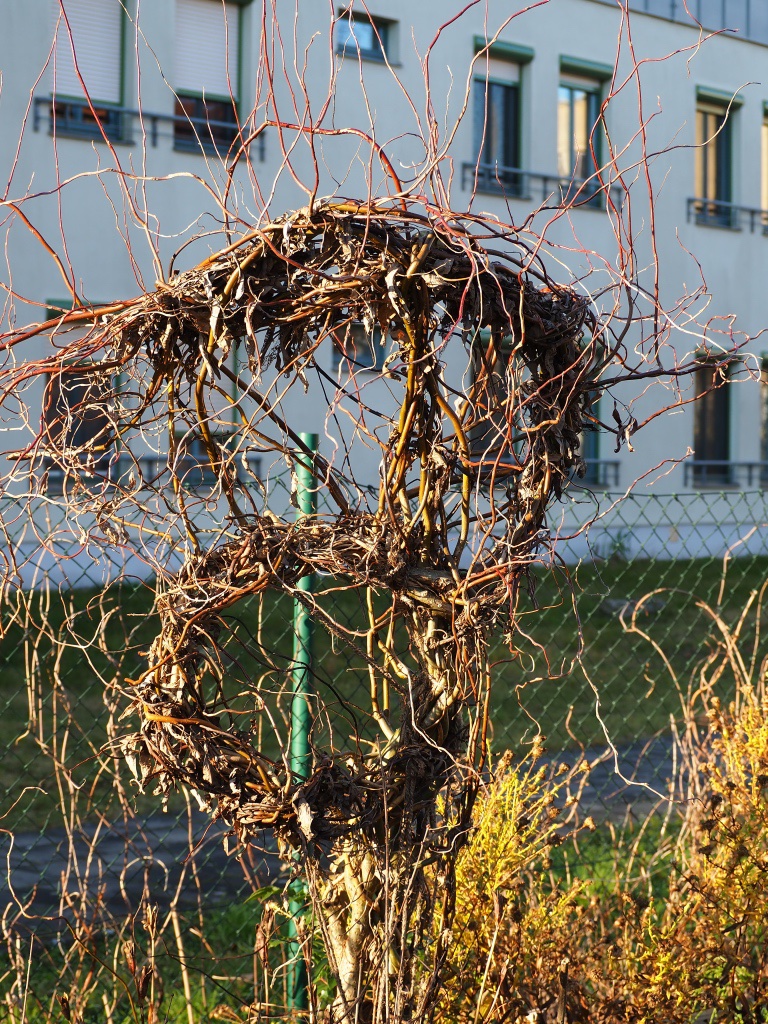 winterlicher-garten-4-bernd-opel