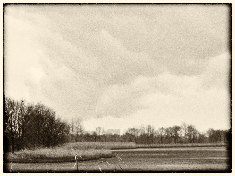 Wintermorgen am Teufelsteich - Bernd Opel