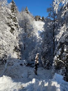 winterpracht-bernd-opel