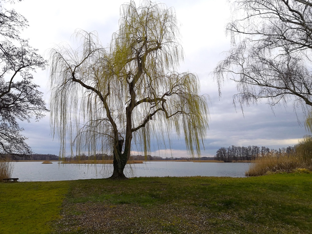 winterruhe-am-teich-h-mucc88ller