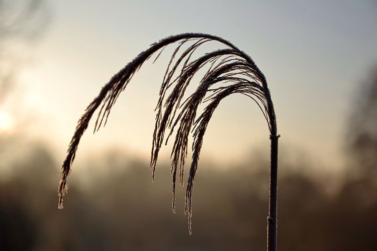 winterschmuck-p-fritsch