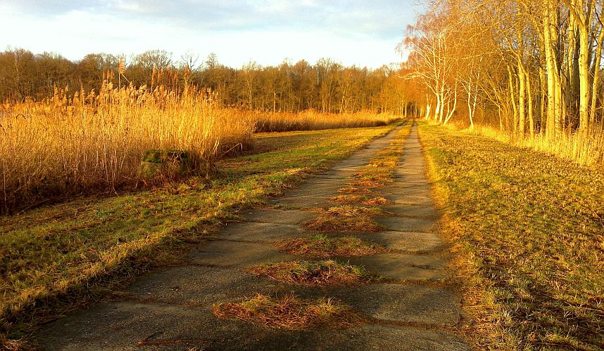 wintersonne-in-der-teichlandschaft-p-fritsch