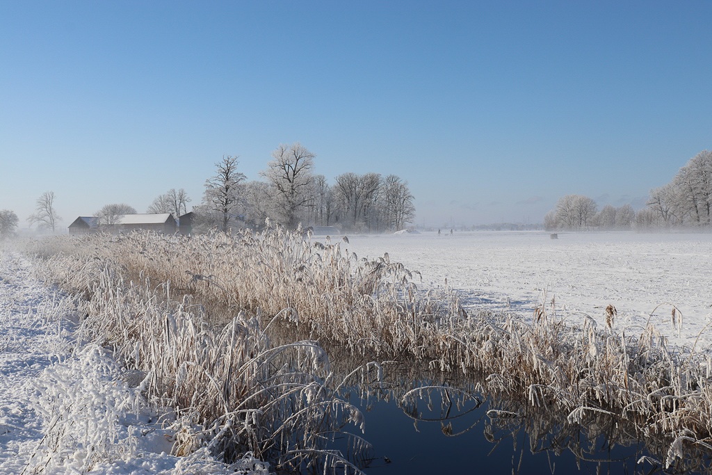 winterwanderung-in-den-lasszinswiesen-2-r-karge_