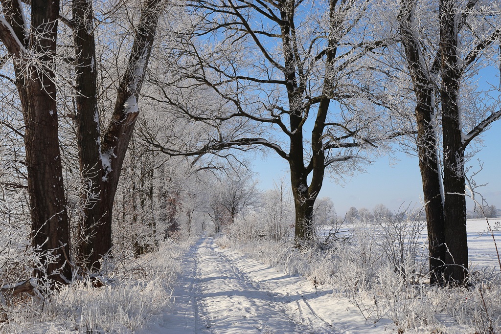 winterwanderung-in-den-lasszinswiesen-3-r-karge_