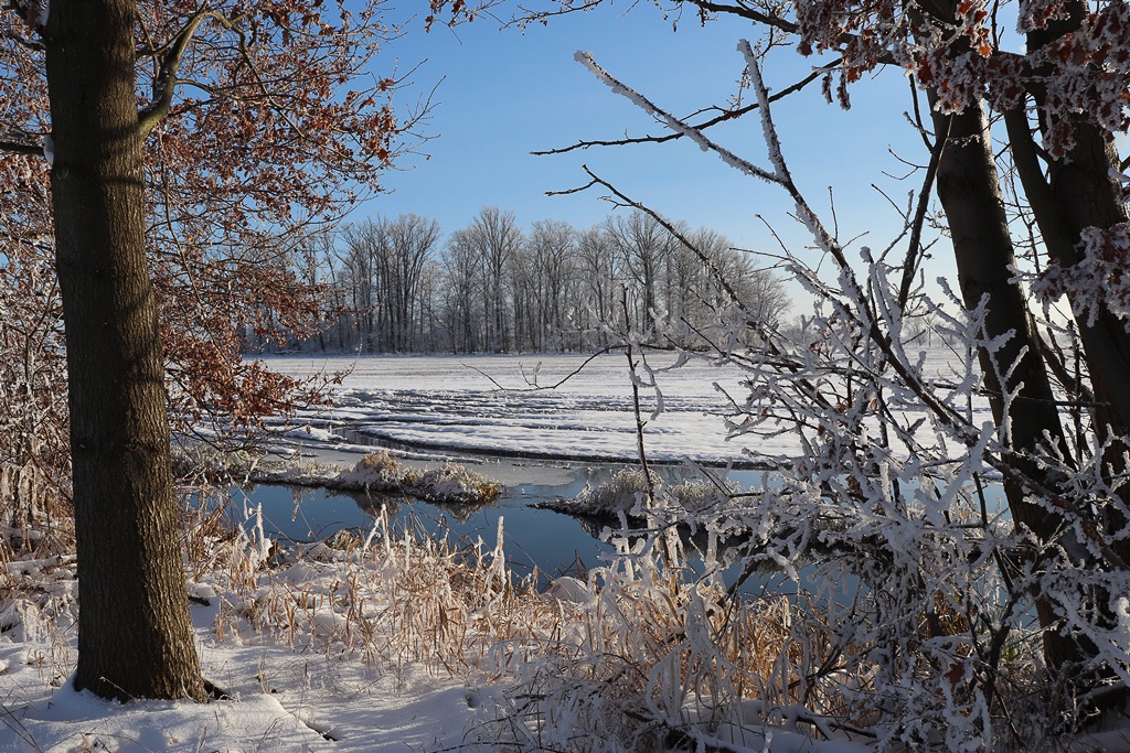 winterwanderung-in-den-lasszinswiesen-5-r-karge_