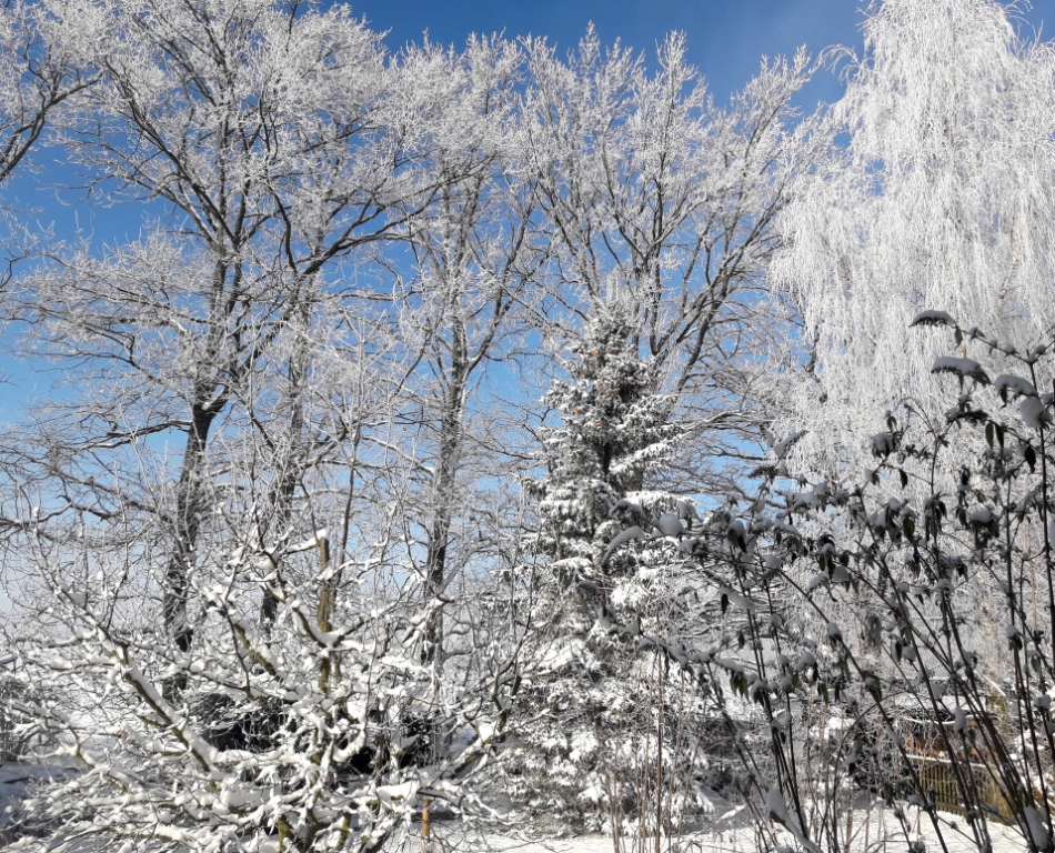 winterzauber-p-fritsch