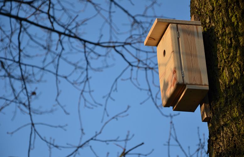 wohnung-frei-p-fritsch