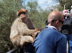 ziemlich-beste-freunde-h-mucc88ller