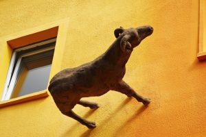 zittau-auf-den-zweiten-blick-1-k-f-mucc88hler