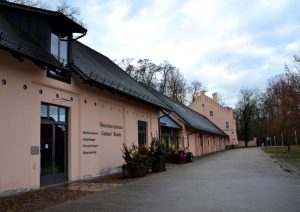 zur-wintersonnenwende-in-branitz-p-fritsch