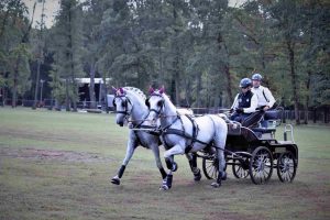 zweispaenner-wm-drebkau-0-k-f-muehler