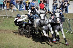 zweispaenner-wm-drebkau-1-k-f-muehler