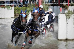 zweispaenner-wm-drebkau-2-k-f-muehler