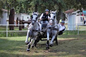 zweispaenner-wm-drebkau-3-k-f-muehler