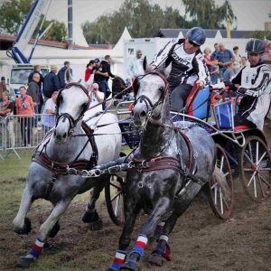 zweispaenner-wm-drebkau-5-k-f-muehler