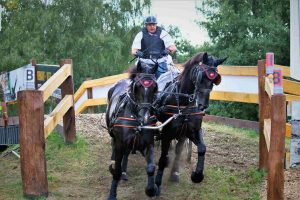 zweispaenner-wm-drebkau-6-k-f-muehler