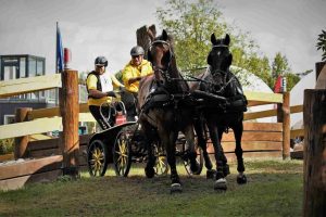 zweispaenner-wm-drebkau-8-k-f-muehler