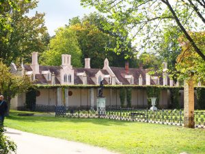 Branitzer Park im Herbst 2 - Bernd Opel
