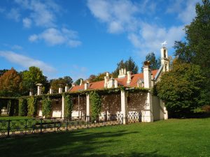 Branitzer Park im Herbst 8 - Bernd Opel