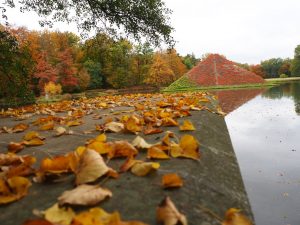 Branitzer Park im Herbst 7 - Bernd Opel