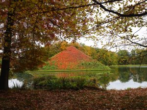 Branitzer Park im Herbst 6 - Bernd Opel