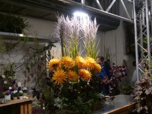 LAGA in Beelitz (10) - H. Müller